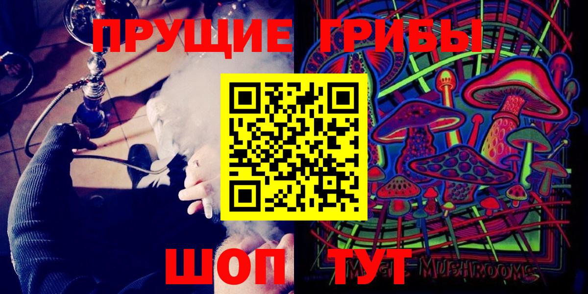 Краснодар  Псилоцибиновые грибы мицелий  Вход с VPN  Псилоцибиновые грибы прущие грибы 