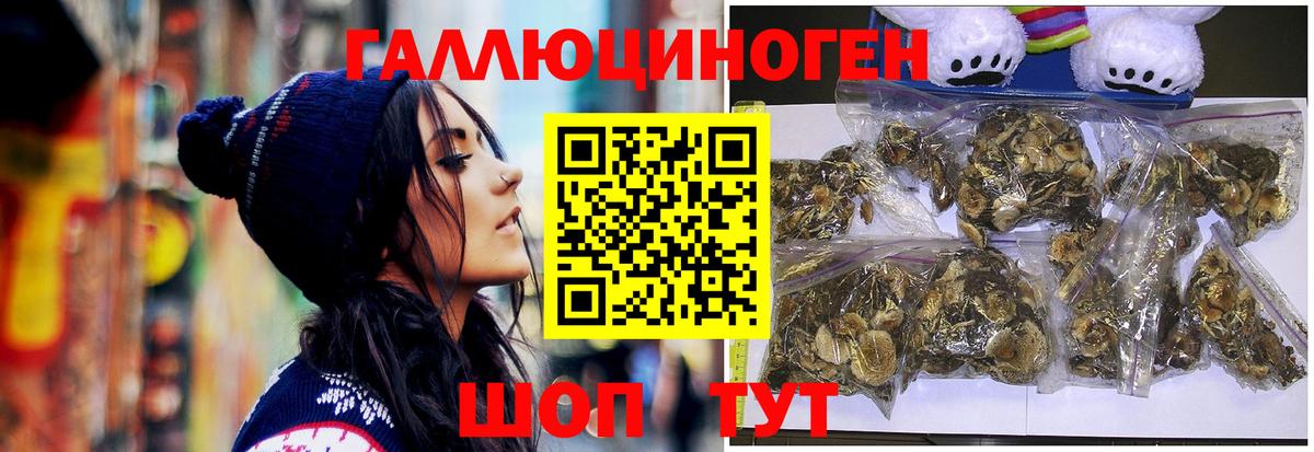 Псилоцибиновые грибы мицелий Краснодар
